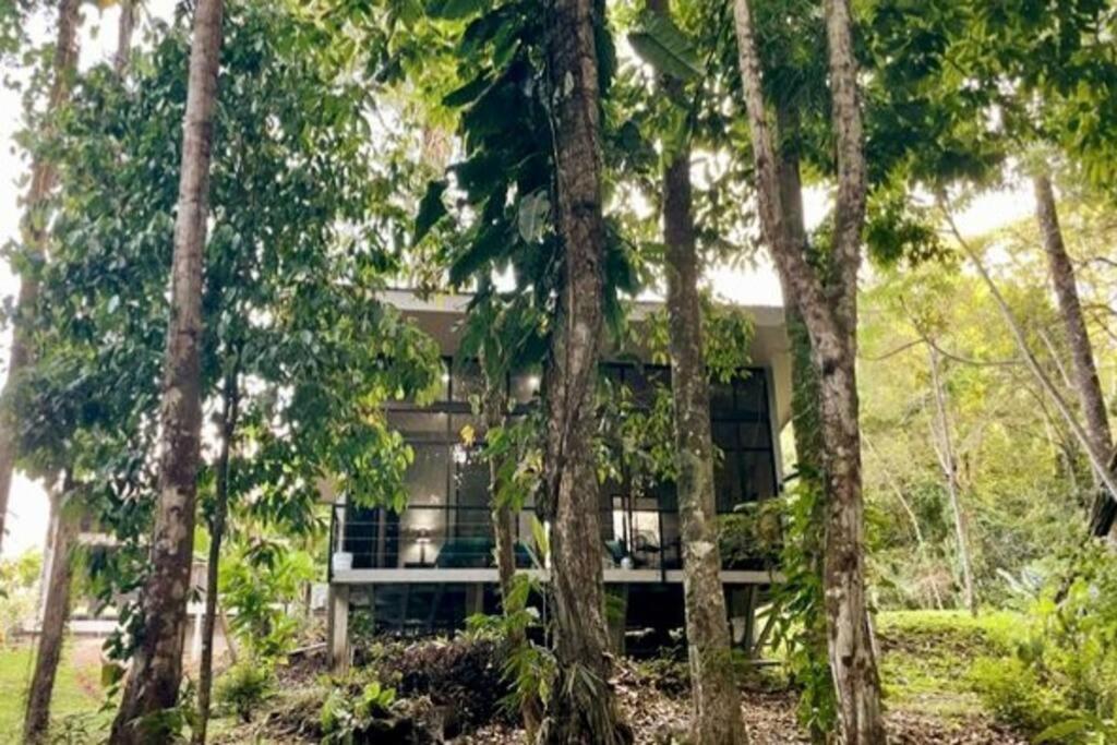 An Abundance Of Wildlife At Jungle Glory Home Abajo Мануэль-Антонио Экстерьер фото